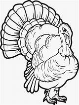Coloring Turkey Pages Printable Kids Thanksgiving Drawing Print Head Online Color Realistic Cooked Fun Filminspector Sheets Adult Clipartmag Sketches Lots sketch template