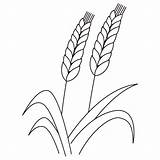 Wheat sketch template