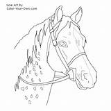 Coloring Horse Pages Appaloosa Pony Cross Riding Horses Drawing Color Patterns Print Line Own Printable Drawings Embroidery Head Mountans Sawtooth sketch template