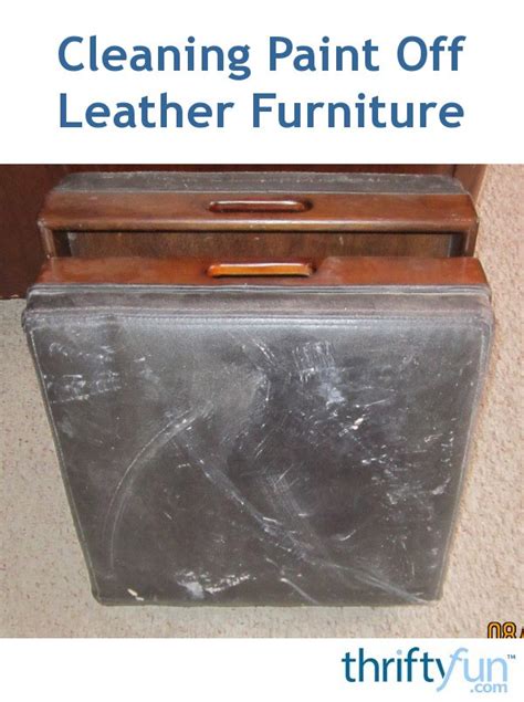 cleaning paint  leather furniture thriftyfun