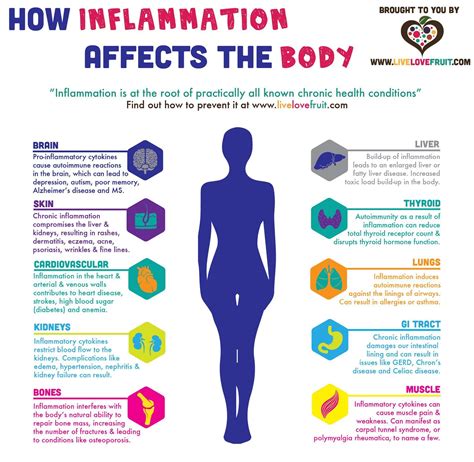 learn  inflammation affects  body     rid    love fruit