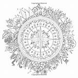 Coloring Forest Enchanted Pages Book Adult Johanna Basford Colouring Books Drawing Printable Amazon Mandala Pdf Adults Color Coloriage Sheets Flower sketch template