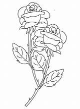 Roses Rosen Coloriages Colouring Ausmalen Trouvé Coloringpage sketch template