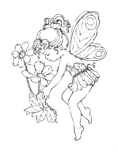 fairy coloring pages  print coloringbay