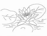 Coloring Lotus Pages Printable Flowers Popular sketch template