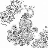 Coloring Pages Peacock Stress Zentangle Anti Totem Adult Paisley Vector Flowersfor Illustration Printable Sketch Drawing Doodle Therapy Stock Flowers Getdrawings sketch template