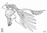 Griffin Coloring Gryphon Printable Morh Drawing sketch template