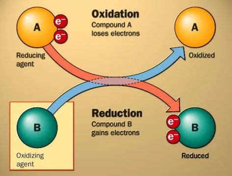 reduction  oxidation definition  examples  periodic table