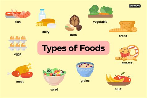 types  food english vocabulary