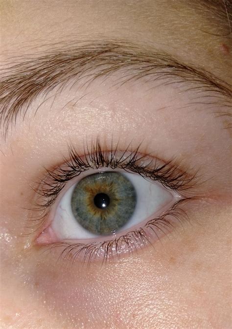 hazel eyes  central heterochromia ive  thought
