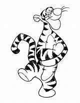 Pooh Winnie Coloring Pages Tigger Tiger Clipart Drawing Clip Library sketch template
