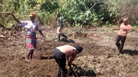 rural agriculture for hiv affected women liberia globalgiving