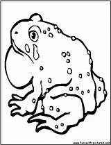 Coloring Toad Pages Animals Fun Colouring sketch template