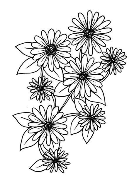 realistic daisy coloring page coloring pages