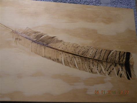 Wild Turkey Feather Sold By Littlepaw Lumberjocks