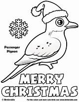 Christmas Coloring Pigeon Birdorable Choose Board Birds Cartoon sketch template