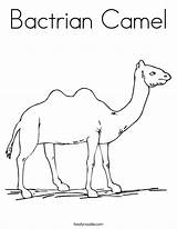 Coloring Camel Designlooter sketch template