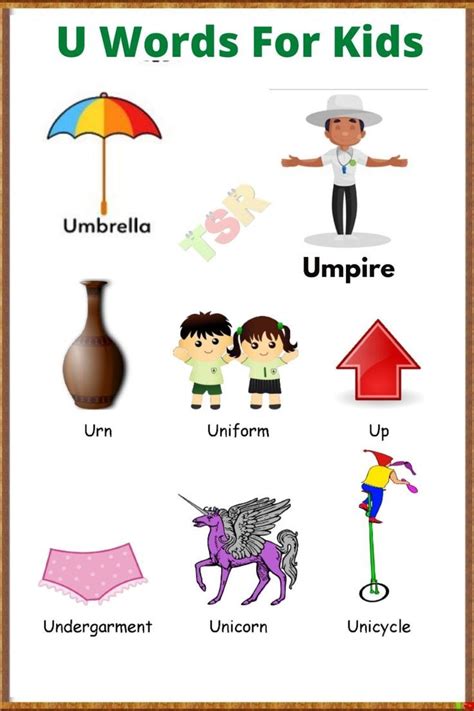 learn vocabulary words  start    kids kids learning