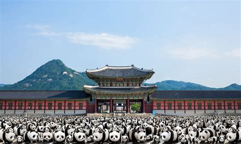 1600 pandas travel to south korea marketing interactive