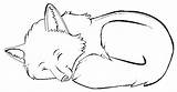 Fox Down Laying Cartoon Sleeping Coloring Lineart Template Sketch Pages sketch template