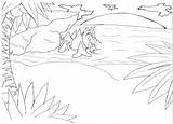 Uncolored Coloring Animals Sunset Beach Pages Popular sketch template
