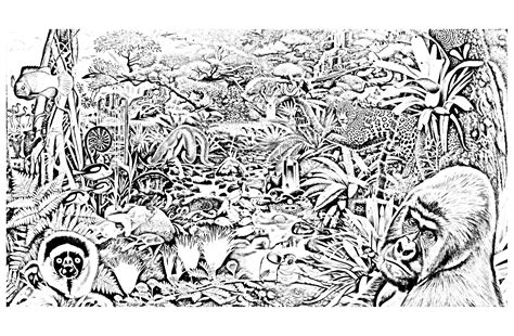 draw samples coloring page jungle easy drawing