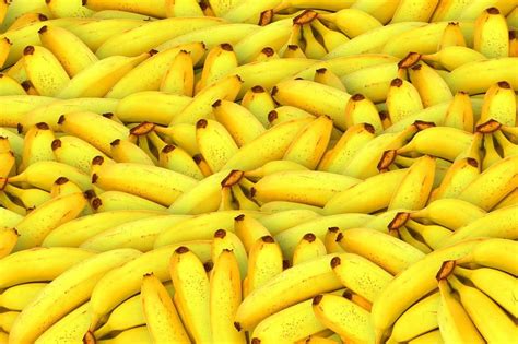 die banane eine tolle und sehr gesunde frucht nachgeharkt