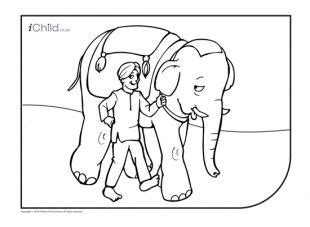 indian elephant colouring  picture elephant colour indian elephant