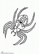 Spin Kleurplaat Kleurplaten Anansi Spinnen Bestcoloringpagesforkids Realistic Spiders Creepy Crawly Halloweenkostuums Spinning Tekenen Herfst Spinne sketch template