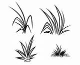 Grass Coloring Pages Draw Outline Drawing Drawings Color Clipart Printable Colorluna Easy Long Clipartmag Print sketch template