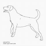 Retriever Coloringbay sketch template