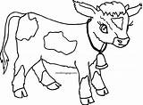 Coloring Calf Cow Pages Cartoon Printable Color Getcolorings Print sketch template