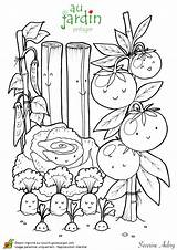 Coloring Plantation Pages Fruits Jardinage Vegetables Vegetable Kids Colorier Adult Books Les Potager Coloriage Colouring Class Garden Végétal Maternelle Enfants sketch template