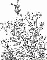 Coloring Pages Garden Adults Flower Printable Getcolorings sketch template