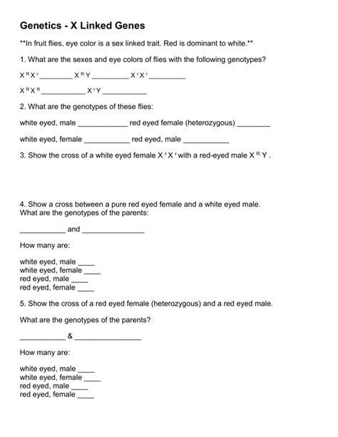 x linked genetics in the calico cat worksheet answers