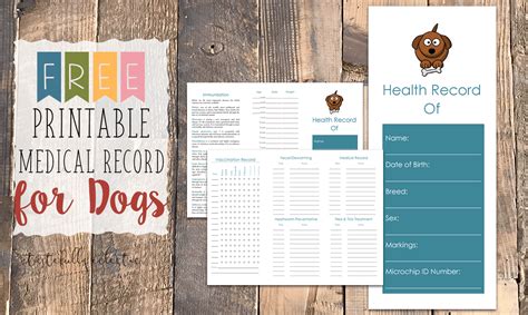 printable medical record  dogs tastefully eclectic