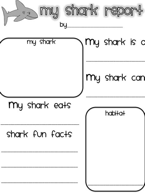images  printable shark worksheets  kindergarten