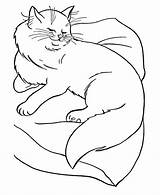 Cat Coloring Pages Printable Kids Gif sketch template
