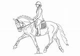 Dressage Horse Lineart Coloring Pages Drawing Deviantart Drawings Color Show Horses Printable Outline Sketch Jumping Sketches Print sketch template