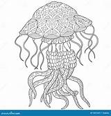 Jellyfish Zentangle Adult Stylized Coloring Preview sketch template