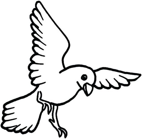 bird coloring pages   coloring sheets bird coloring