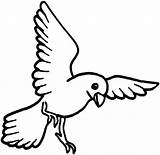 Bird Vogel Crow Canary Malvorlagen Kostenlos Sheets Vögel sketch template