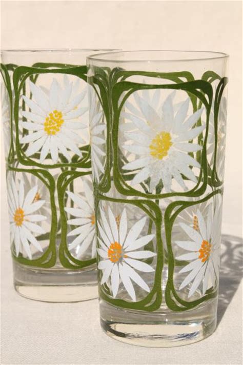 Vintage Drinking Glasses W Retro Summer Flowers Daisies