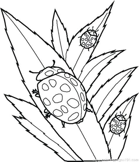 biology coloring pages  getdrawings