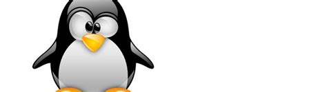 gnu os founder  steam  linux  unethical due  drm vg