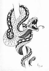 Snake Tattoo Drawing Head Around Tattoos Drawings Stick Snakes Cobra Hissing Rattlesnake Draw Japanese Sketches Stencils Twining After Runs Several sketch template