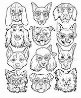 Marker Challenge Coloring Pages Dogs Drawing Allow Minutes Delivery Please sketch template