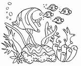 Coral Coloring Pages Simple Reefs Reef Printable Drawing Fish Ocean Coloringpagesfortoddlers Dibujo Dibujos Colorear Cute Para Animals Arrecife Arrecifes Print sketch template