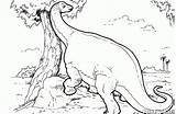 Ultrasaurus Coloring Pages Colorkid Dinosaurs Big Animals sketch template