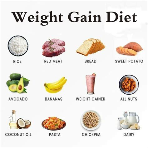 tips   weight gain diet medical darpan